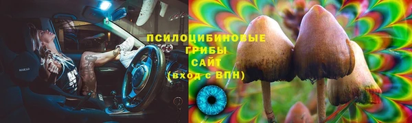 стафф Беломорск